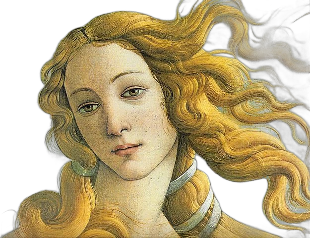 venus, IS-Net cutout