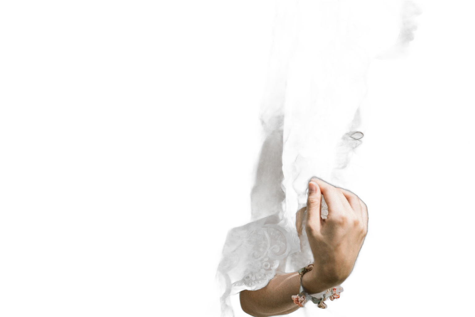 vino li J4JjsFJKhpI, IS-Net cutout