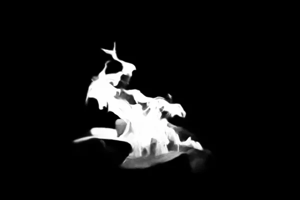IS-Net alpha matte: campfire flames night