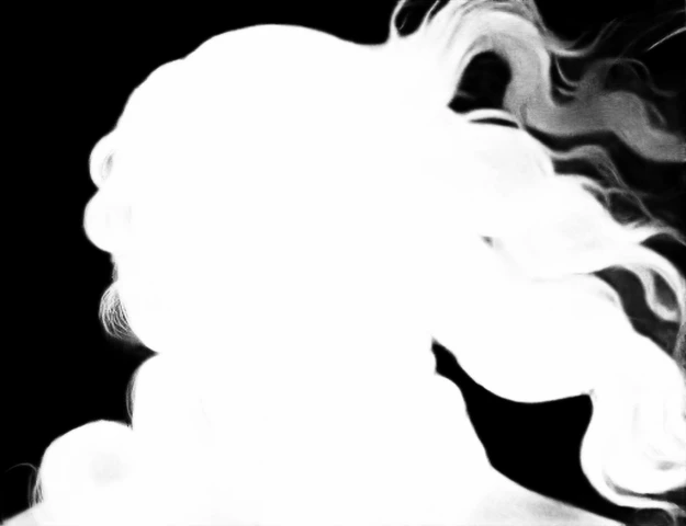 IS-Net alpha matte: venus