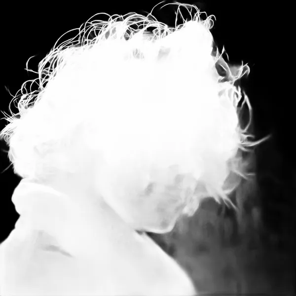 IS-Net alpha matte: windblown curly portrait