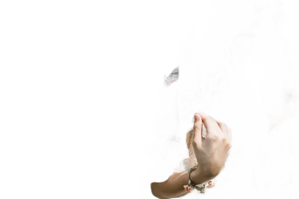 rembg background removed: vino li J4JjsFJKhpI