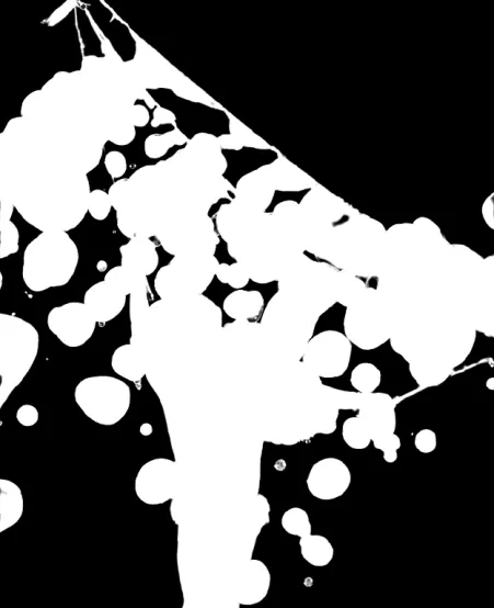 remove.bg alpha matte: norbert braun ldGoVkxopwI