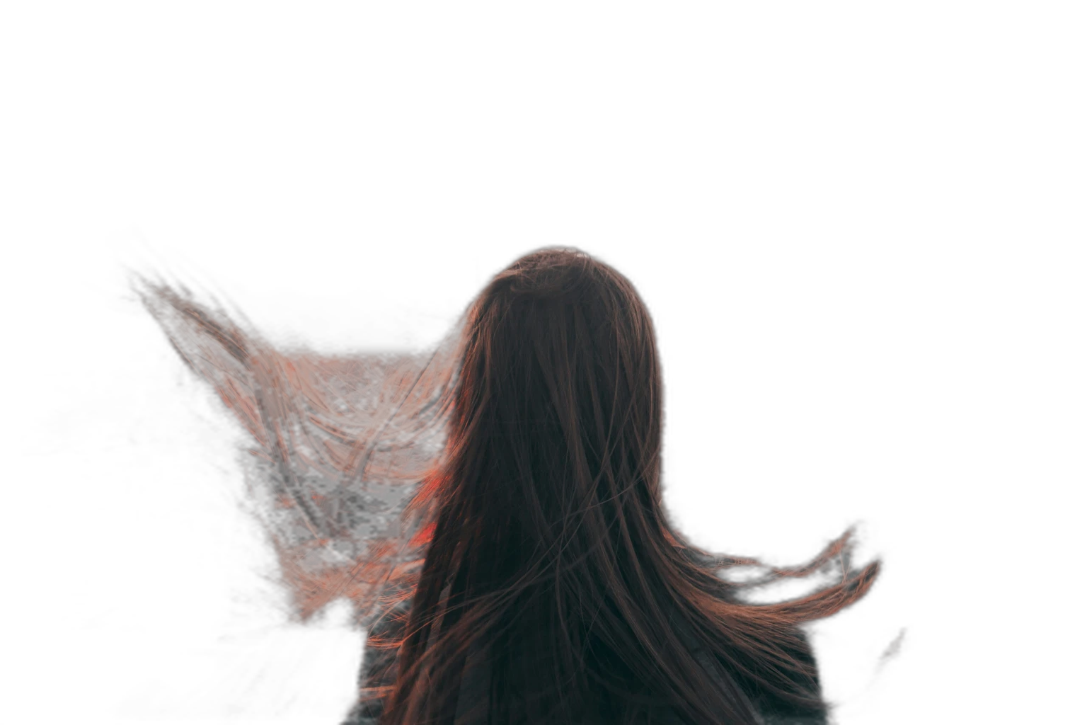 alexandr bormotin u6Igr0mzcHQ, silueta cutout