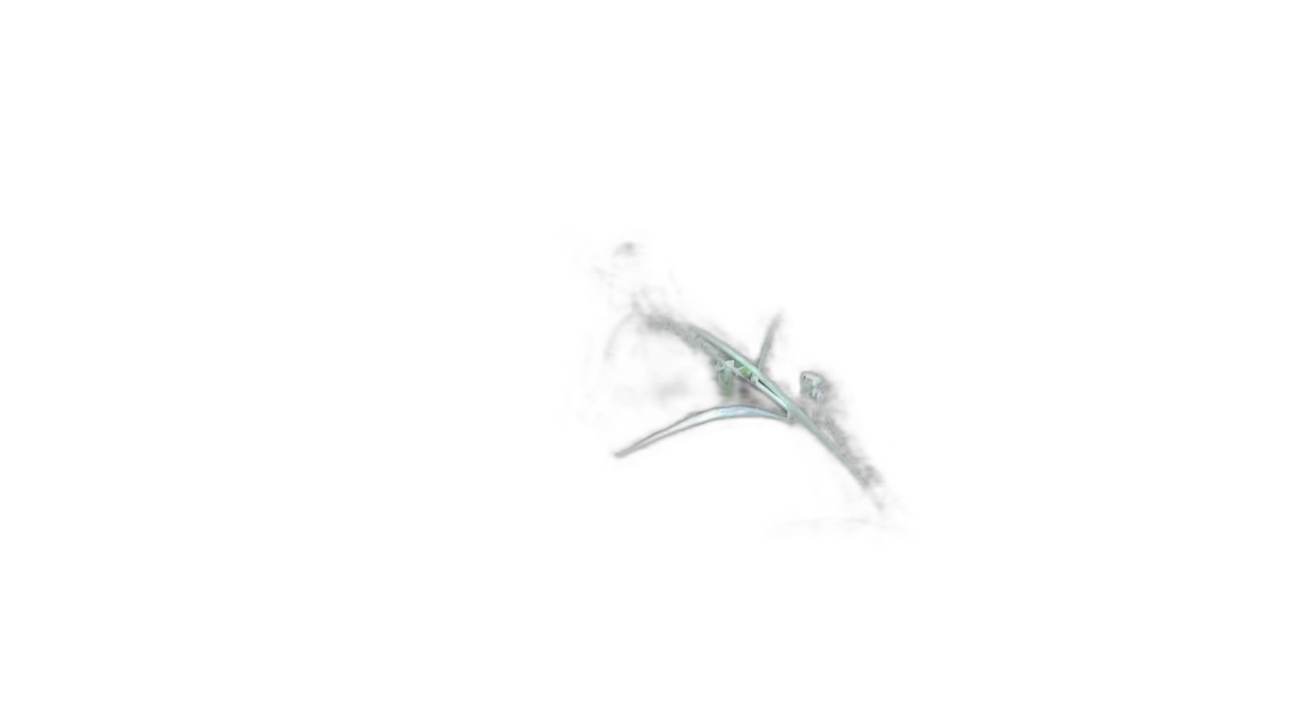 grass seed stem bokeh, silueta cutout