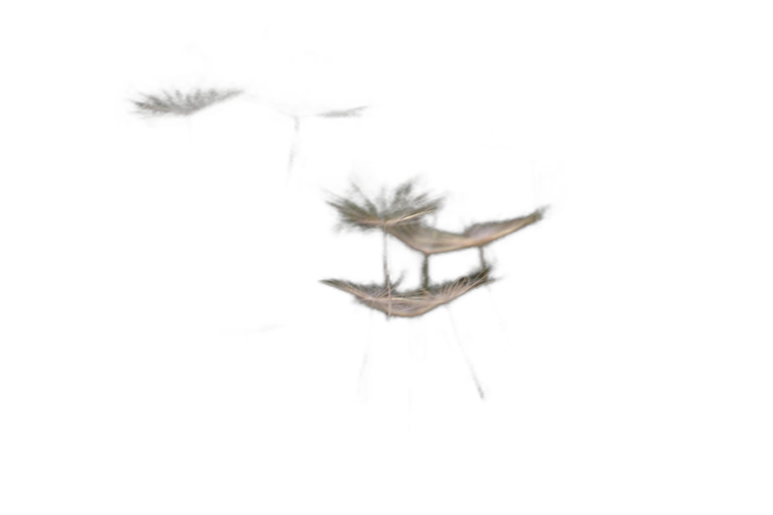 hasan almasi BIrL2bdlMa4, silueta cutout