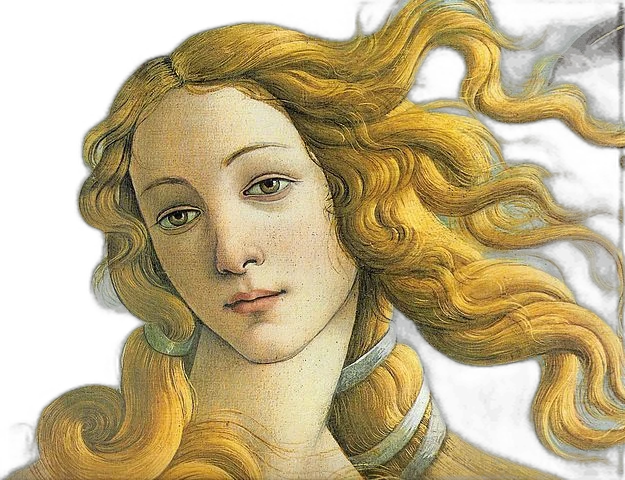 venus, silueta cutout