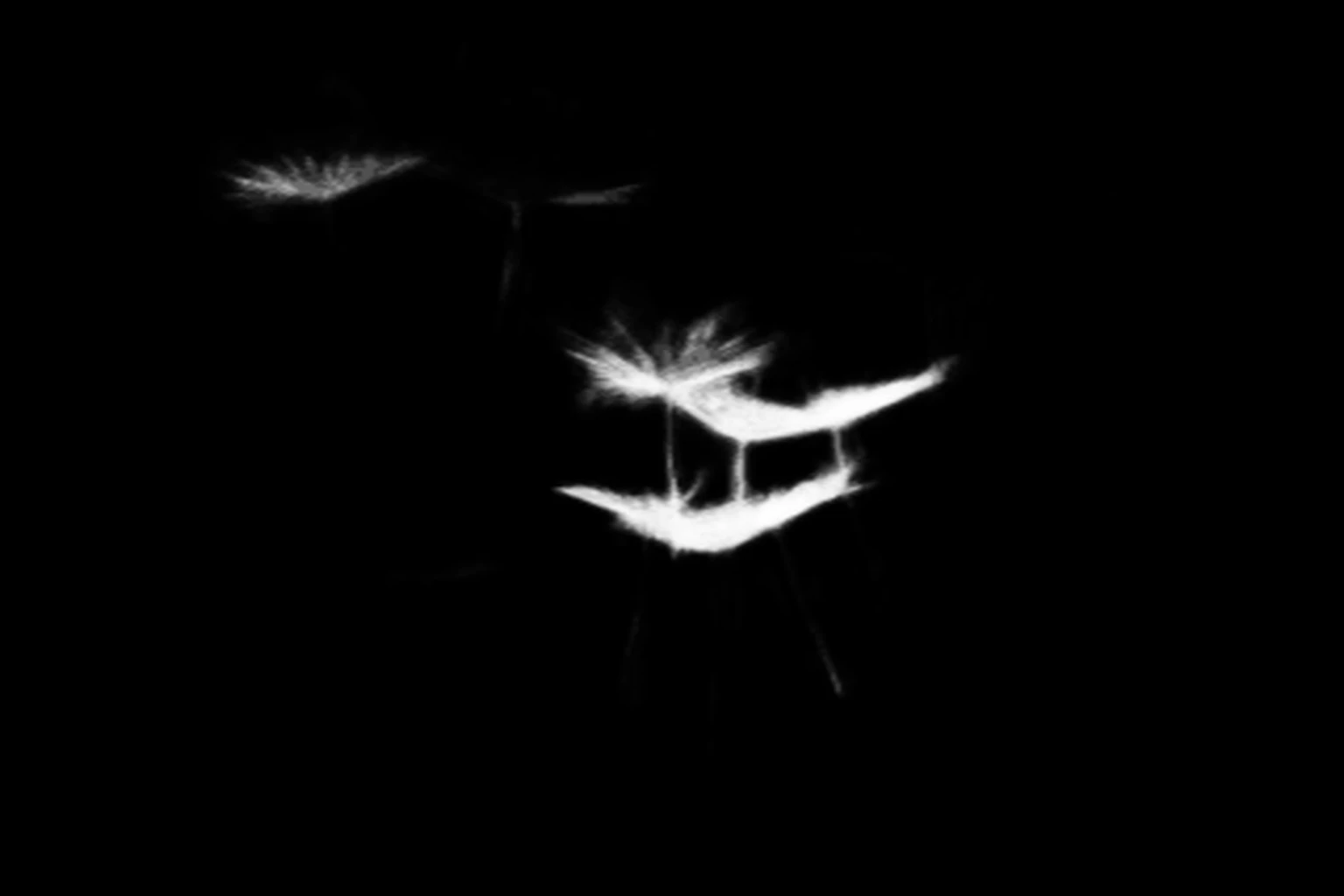 silueta alpha matte: hasan almasi BIrL2bdlMa4