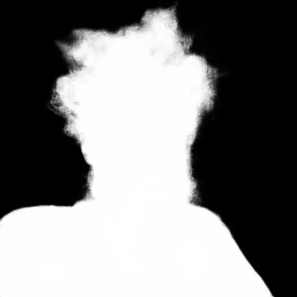 silueta alpha matte: messy hair bearded portrait