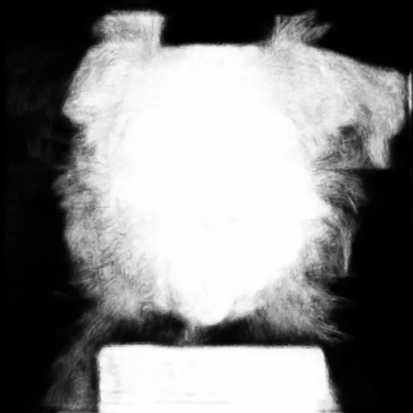 silueta alpha matte: terrier dog mugshot