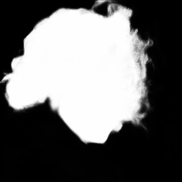 silueta alpha matte: windblown curly portrait
