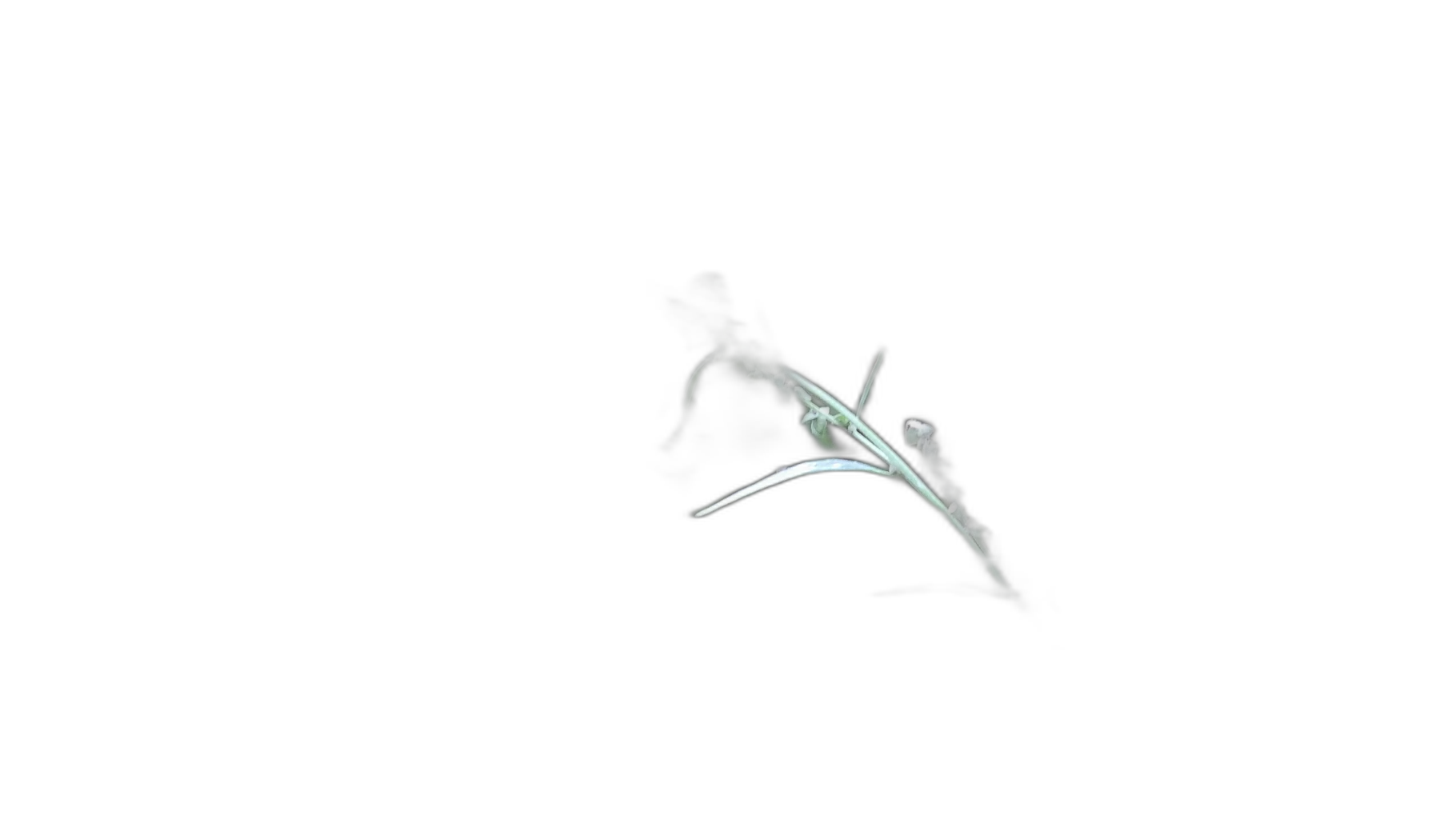 grass seed stem bokeh, u2net cutout