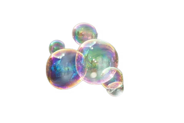 u2net background removed: pieter Qa8Y_W4PORw
