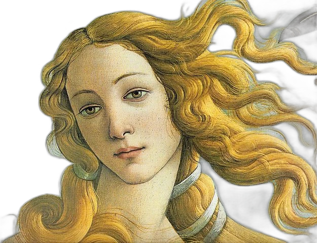 venus, u2net cutout