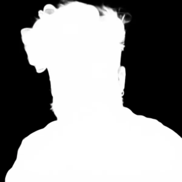 u2net alpha matte: bearded man portrait