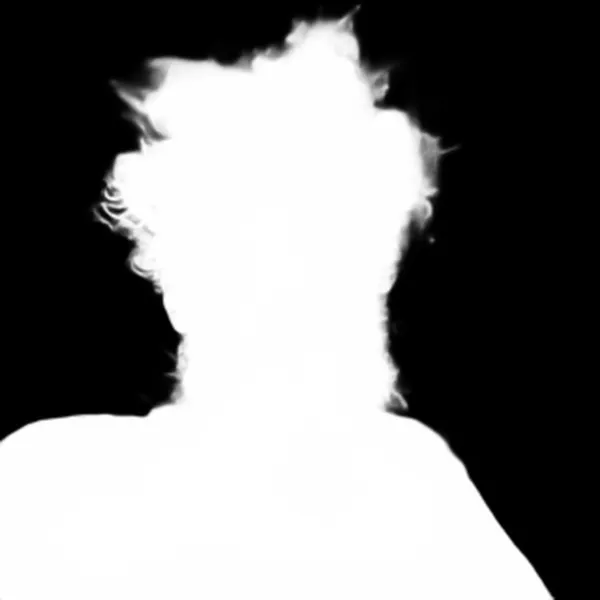 u2net alpha matte: messy hair bearded portrait