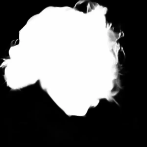 u2net alpha matte: windblown curly portrait