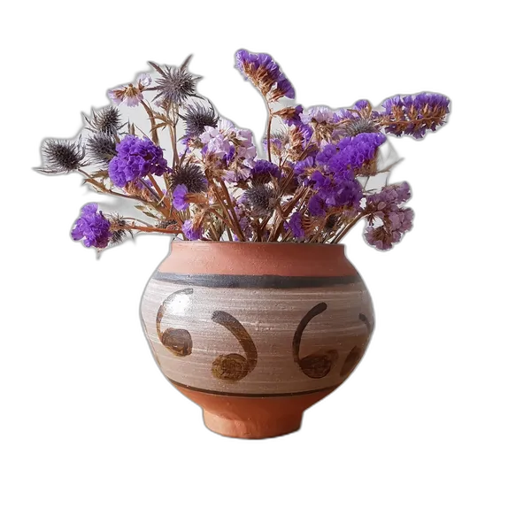 dried flowers clay vase, u2net_human_seg cutout