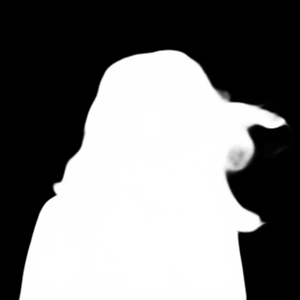 windblown curly hair backpack, u2net_human_seg alpha matte
