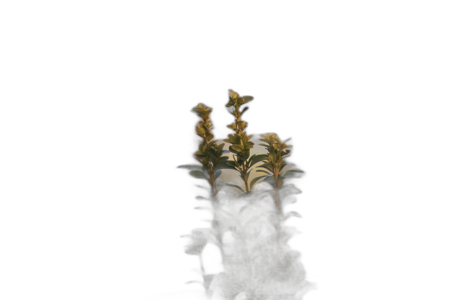 balcony plant bokeh, u2netp cutout