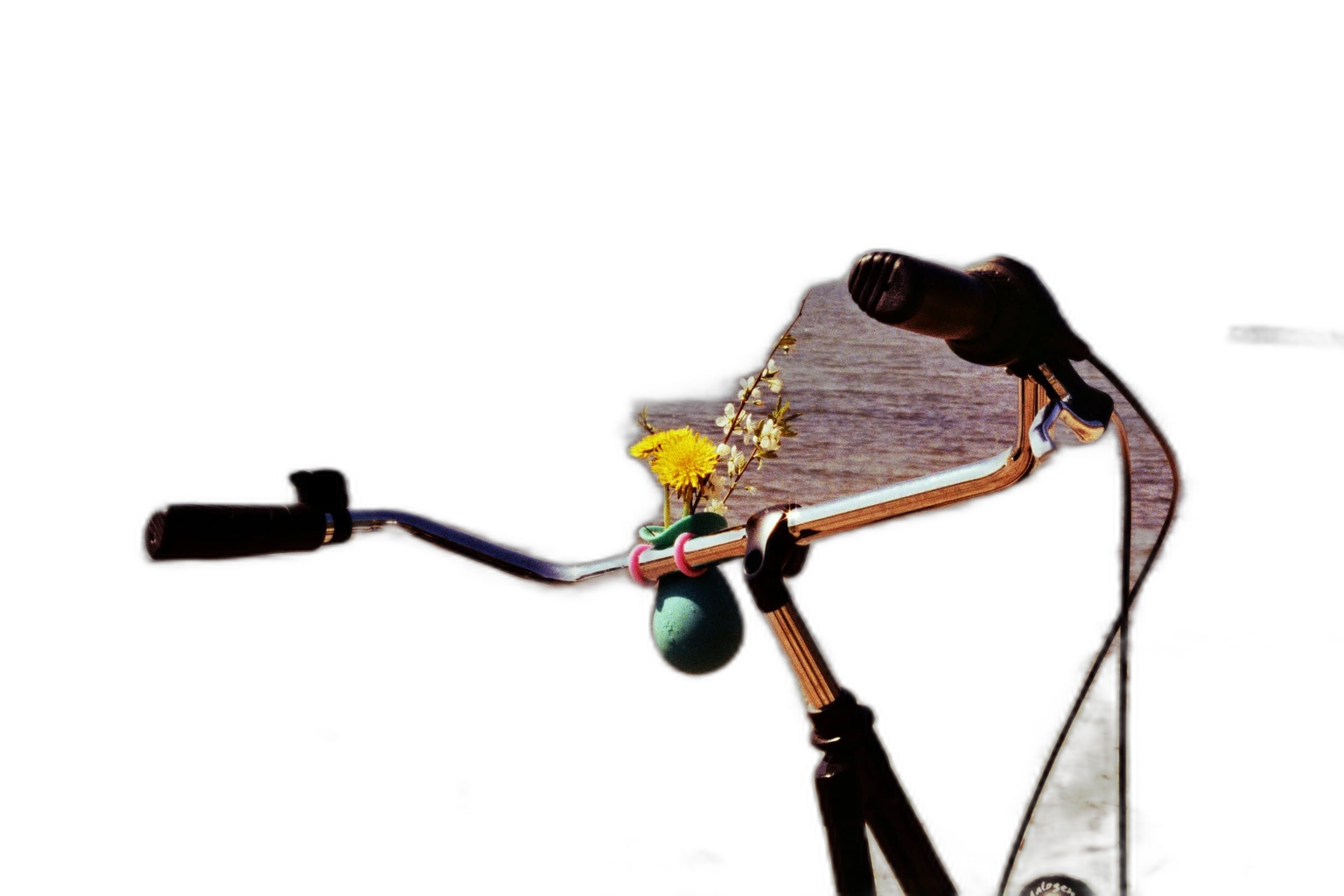 bike handlebar near beach, u2netp cutout