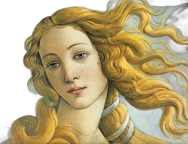 venus, u2netp cutout
