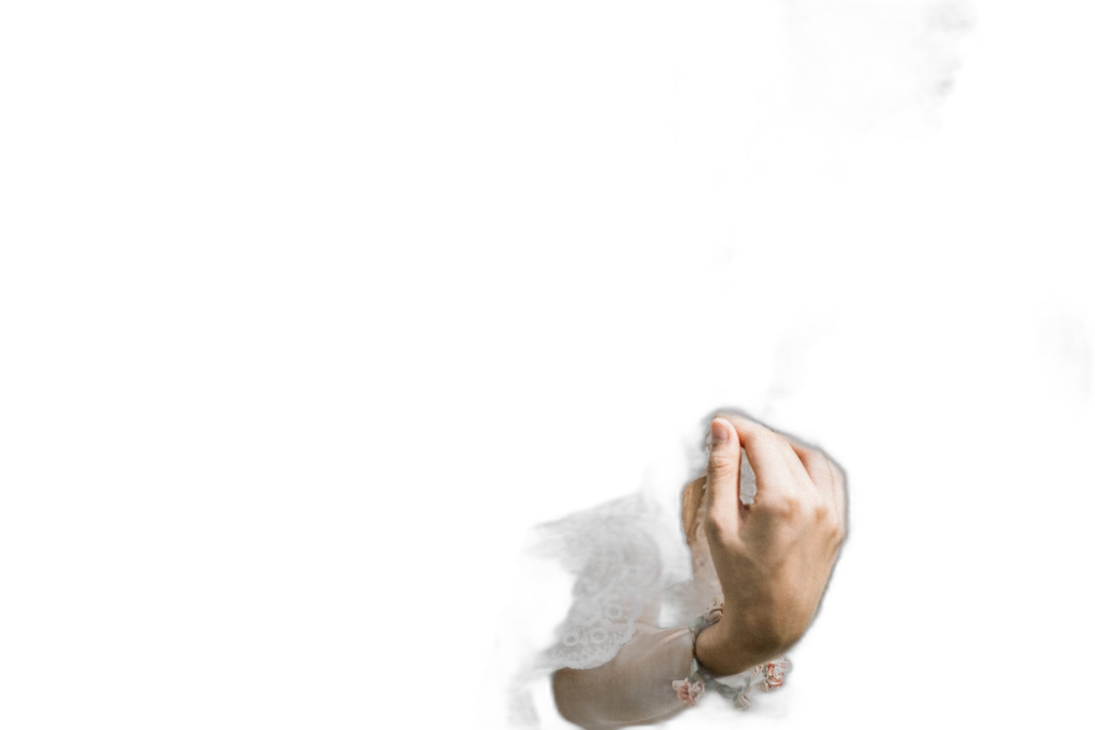 vino li J4JjsFJKhpI, u2netp cutout