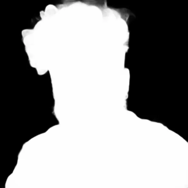 u2netp alpha matte: bearded man portrait
