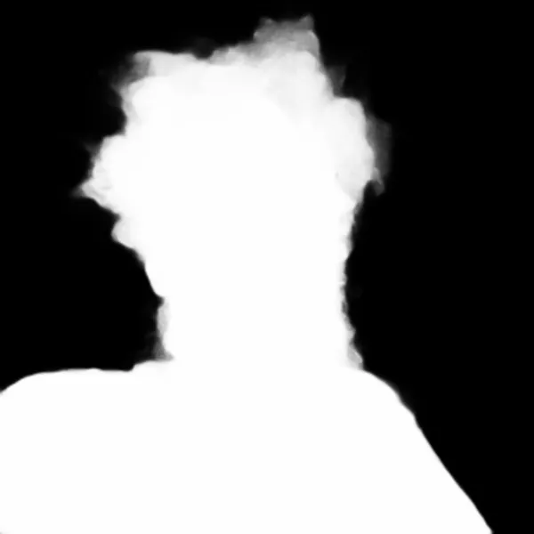 u2netp alpha matte: messy hair bearded portrait