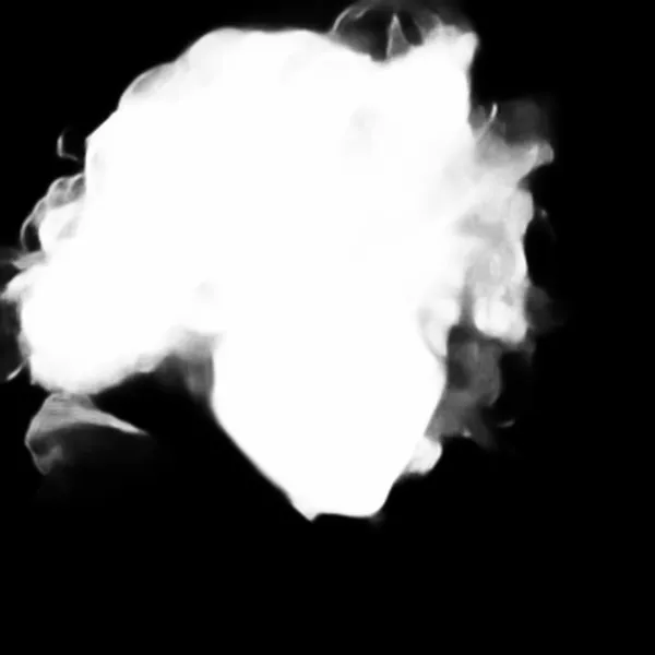 u2netp alpha matte: windblown curly portrait