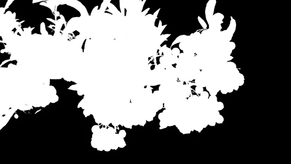 withoutBG API Model alpha matte: orange berries branch