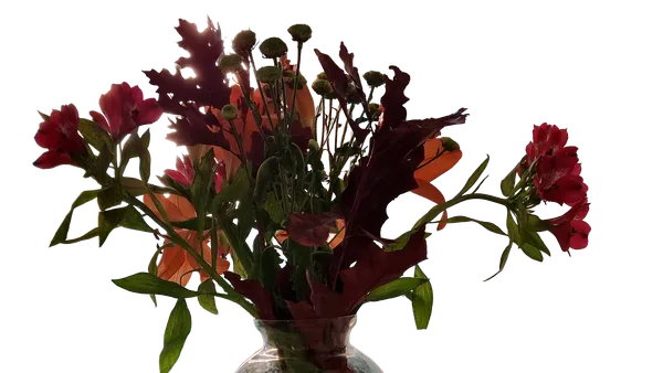 Enterprise background removed: autumn bouquet vase