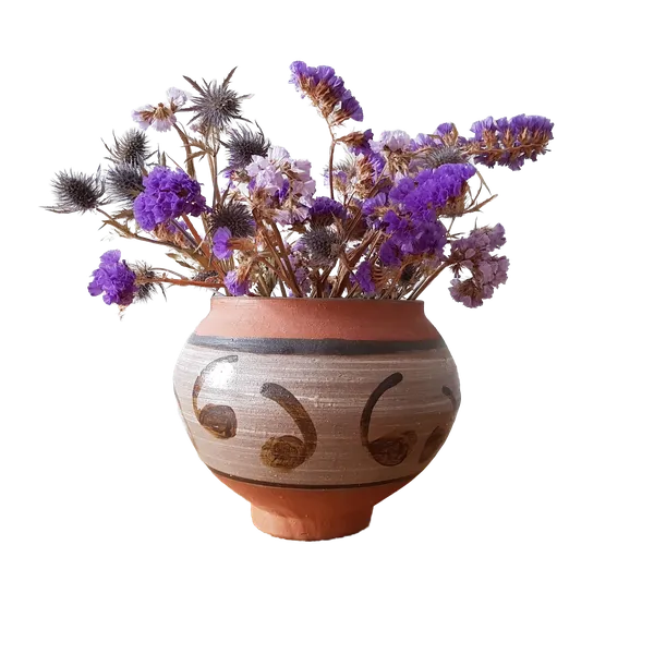 Enterprise background removed: dried flowers clay vase