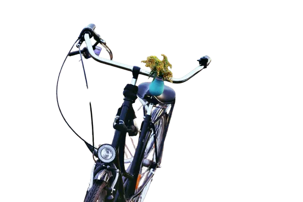 Enterprise background removed: two bikes field