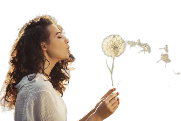 withoutBG Open-Weight Model background removed: AdobeStock_225907703