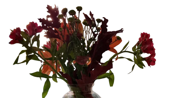 Open Model background removed: autumn bouquet vase