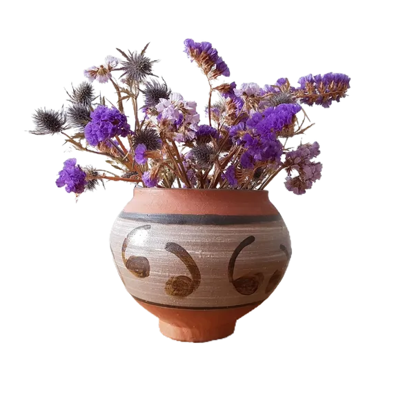 Open Model background removed: dried flowers clay vase