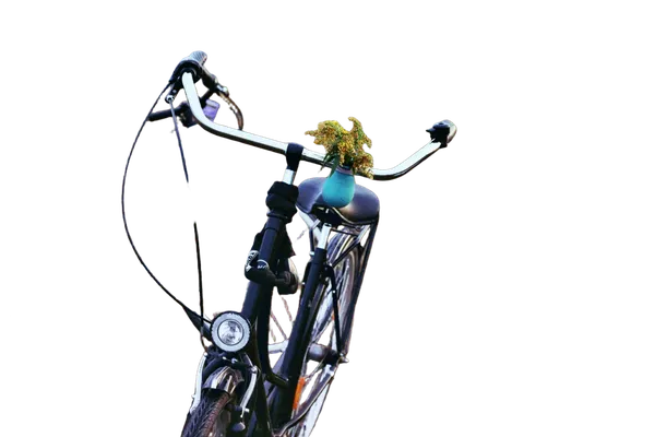 Open Model background removed: two bikes field