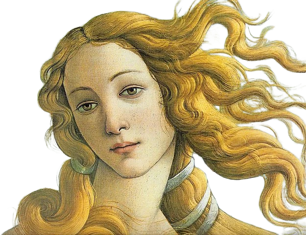 Open Model background removed: venus
