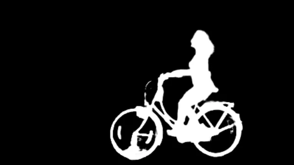withoutBG Open-Weight Model alpha matte: cyclist motion blur field