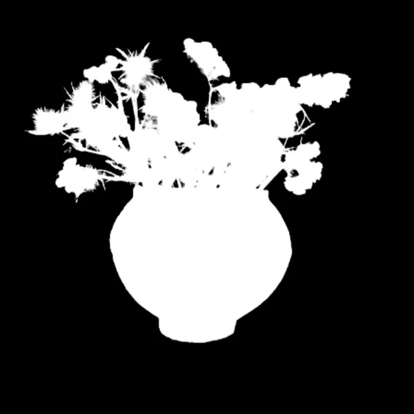 withoutBG Open-Weight Model alpha matte: dried flowers clay vase