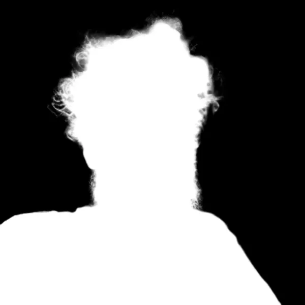 withoutBG Open-Weight Model alpha matte: messy hair bearded portrait