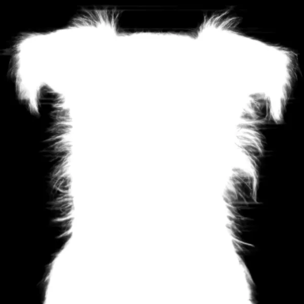 withoutBG Open-Weight Model alpha matte: terrier dog mugshot