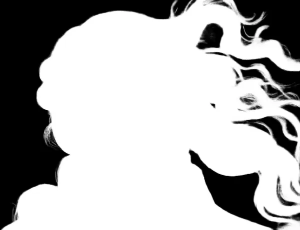 withoutBG Open-Weight Model alpha matte: venus