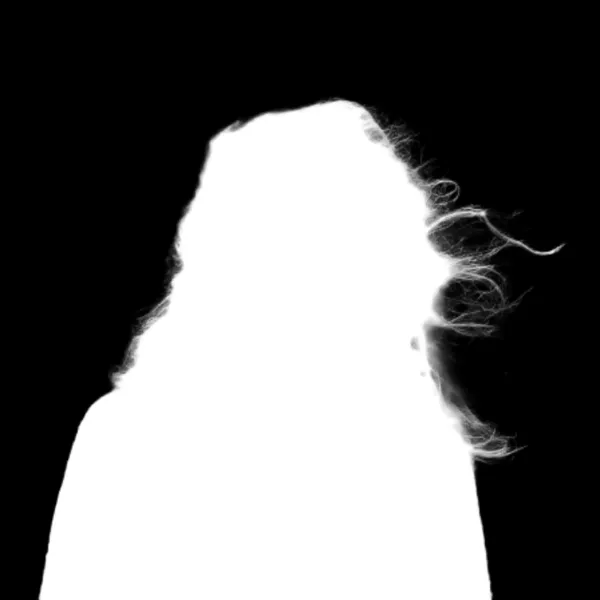 withoutBG Open-Weight Model alpha matte: windblown curly hair backpack