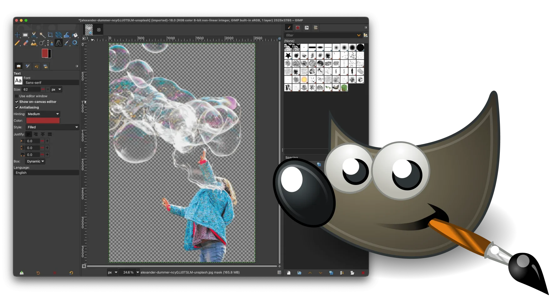 GIMP showing a cutout with transparent background after withoutBG background removal