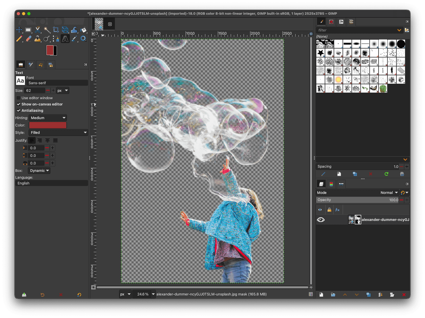 GIMP showing a cutout with transparent background after withoutBG background removal
