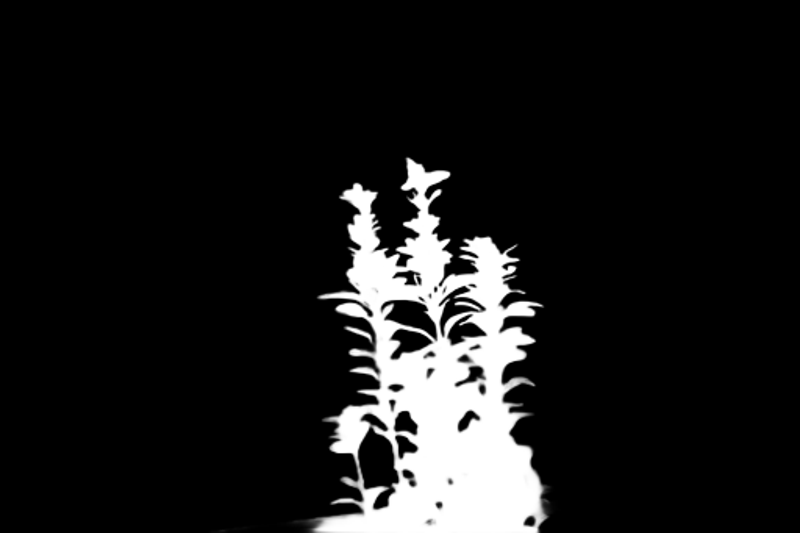 Alpha matte prediction: Balcony Plant Bokeh