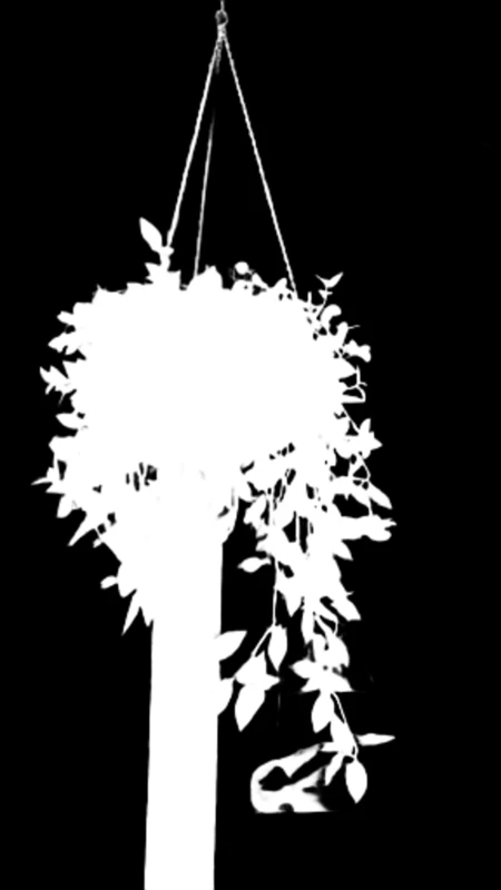 Alpha matte prediction: Hanging Plant in Window