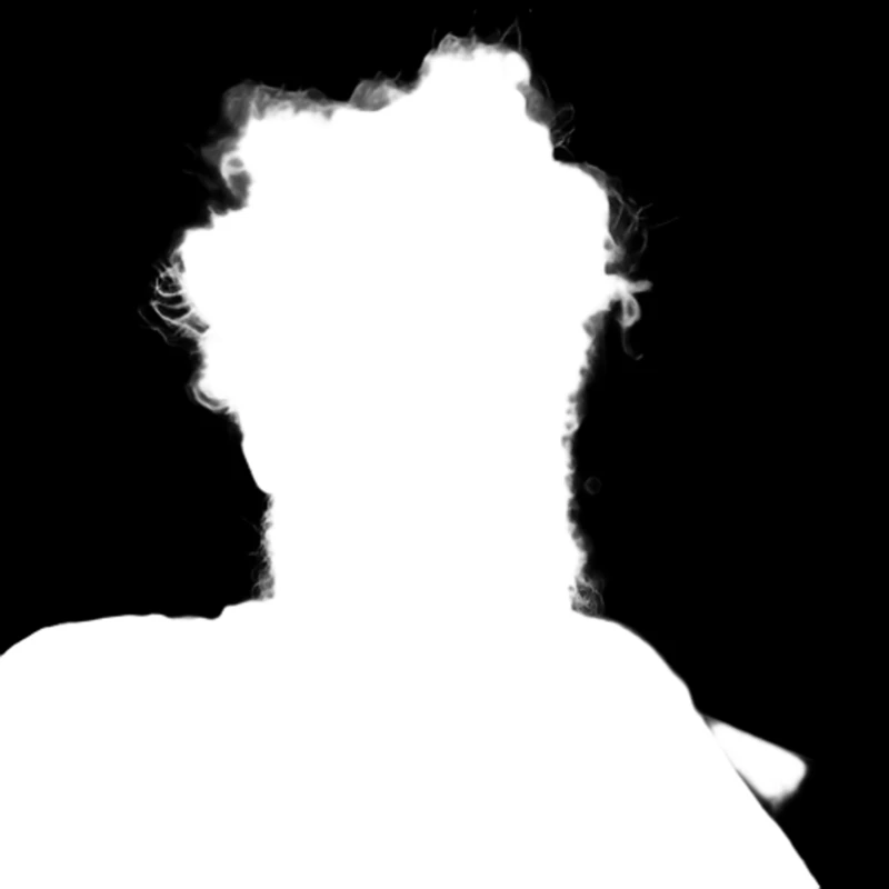 Alpha matte prediction: Messy-Haired Bearded Portrait